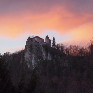 Bled