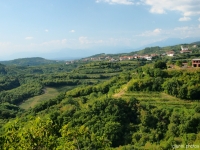 Collio Šmartno (SLO)