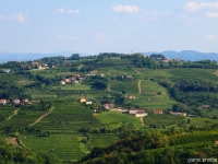 Collio Šmartno (SLO)