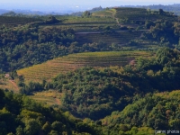 Collio Šmartno (SLO)