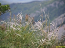 Val Rosandra