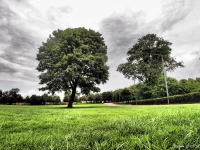 Glasgow Green