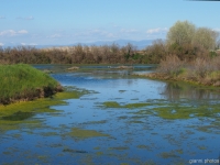 Grado laguna