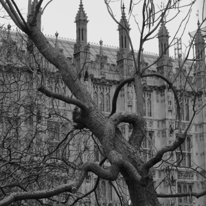 Westminster Parliament