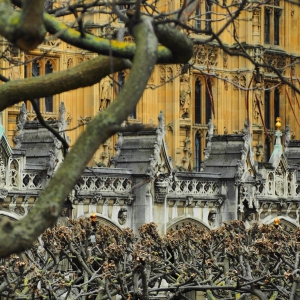 Westminster Parliament