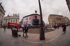 Piccadilly Circus