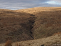 Campsie Fells