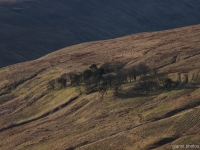 Campsie Fells