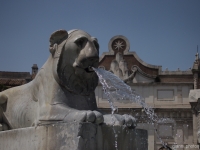 Piazza del Popolo