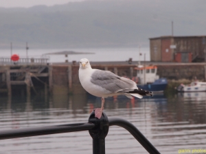 Millport