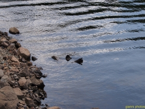 Loch Katrine