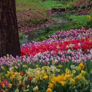 Kamnik - Arboretum