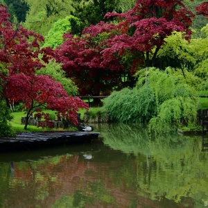 Kamnik - Arboretum