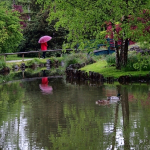 Kamnik - Arboretum