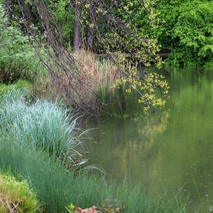 Kamnik - Arboretum