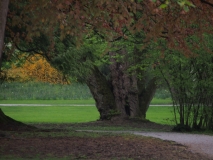 Kamnik - Arboretum