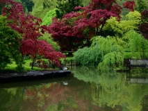 Kamnik - Arboretum