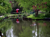 Kamnik - Arboretum