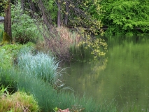 Kamnik - Arboretum