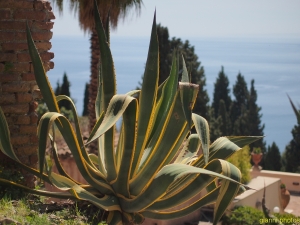 Taormina