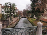 Treviso